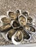 oysters