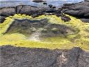 Rockpool