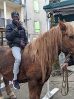 TOUR À CHEVAL AU MARCHÉ DE NOEL