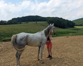 image Travaille a pied pour Monat 