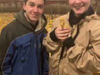 Travaille chez des amis &agrave; eux qui ont des cochons et canard