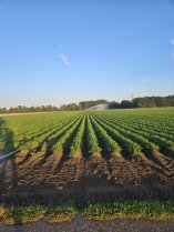photo de l'irrigation de l'ami a Ruben
