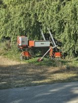 Machine qui permet de passer entre les pommes de terres