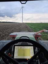 Photo du semis u nouvel endroit