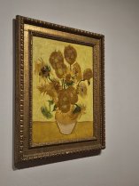 Photo tounesol