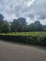 Parc avec des cerfs