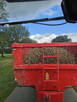 Deplacement de Pommes de terres 