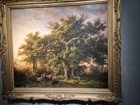 photo de l'arbre