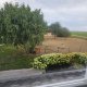 Un berrichon au Pays Bas