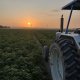 Un berrichon perdu au milieu des plaines du Pays-Bas