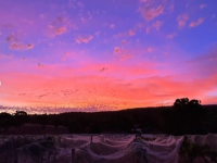 Un couche tard au pays du soleil levant 