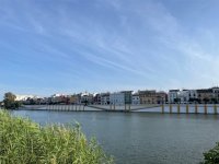 Un &eacute;tudiant &agrave; S&eacute;ville 