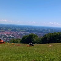 Un gaulois au pays des slovènes