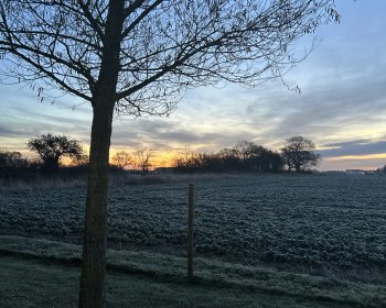 image Un matin givr&eacute;..