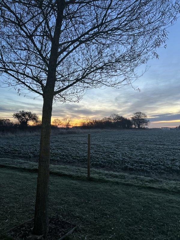 Un matin givré..