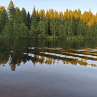  Un stage perdu dans la campagne finlandaise 