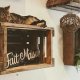 Une Aveyronnaise au cœur d'un bar à chats à Charleroi