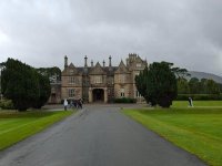 Une immersion irlandaise inoubliable : entre traditions, rencontres et aventures agricoles