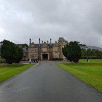Une immersion irlandaise inoubliable : entre traditions, rencontres et aventures agricoles