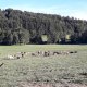 Une journée type à la ferme 