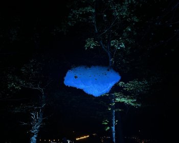 image Une nuance de bleue..
