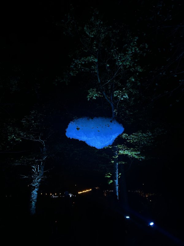 Une nuance de bleue..