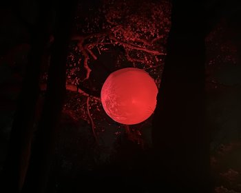 image Une nuance de rouge..