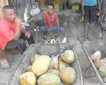 image Vendeurs de noix de coco