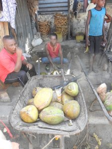 Vendeurs de noix de coco
