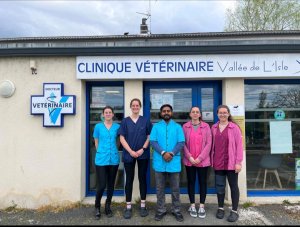 Veterinary Clinical Internship at Clinique vétérinaire Vallée de l'Isle, Neuvic 
