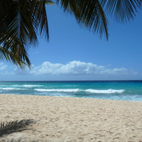 VIDÉO : échange étudiant à La Barbade