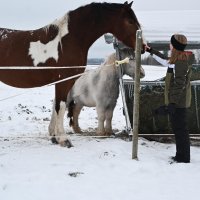Visite des exploitations dans le coin