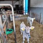 Visite des lieux de stages 