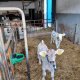Visite des lieux de stages 