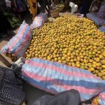 visite d’un marché Togolais