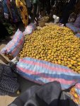visite d’un marché Togolais