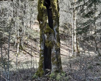 image voyage p&eacute;dagogique dans le Vercors