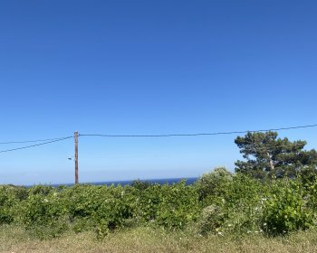 image Vue de l’endroit où je dors 