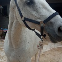 Zagreb et et Premier jour de stage 