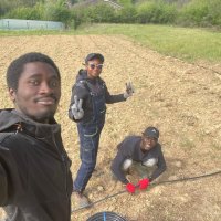 🌿 Zoom sur les PPAM – Plantes à Parfum, Aromatiques et Médicinales