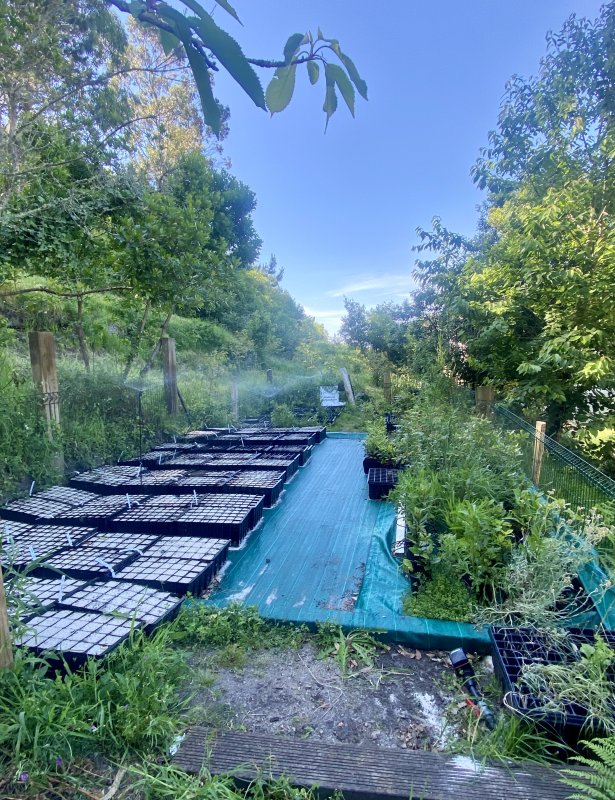 🧑&zwj;🔬Exp&eacute;riences, d&eacute;sherbage et plantes en test🌱