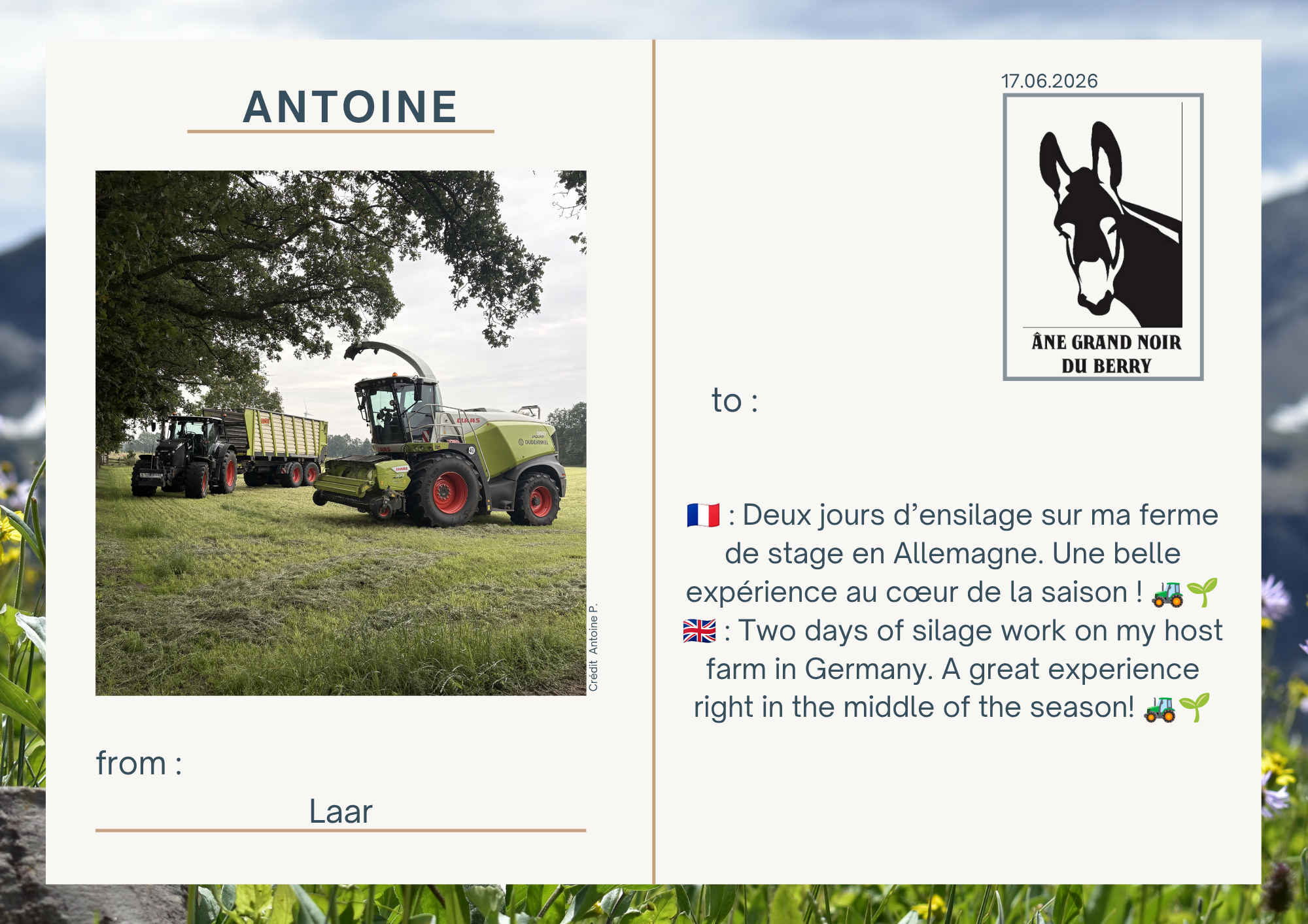 🇫🇷 : Deux jours d&rsquo;ensilage sur ma ferme de stage en Allemagne. Une belle exp&eacute;rience au c&oelig;ur de la saison ! 🚜🌱 🇬🇧 : Two days of silage work on my host farm in Germany. A great experience right in the middle of the season! 🚜🌱