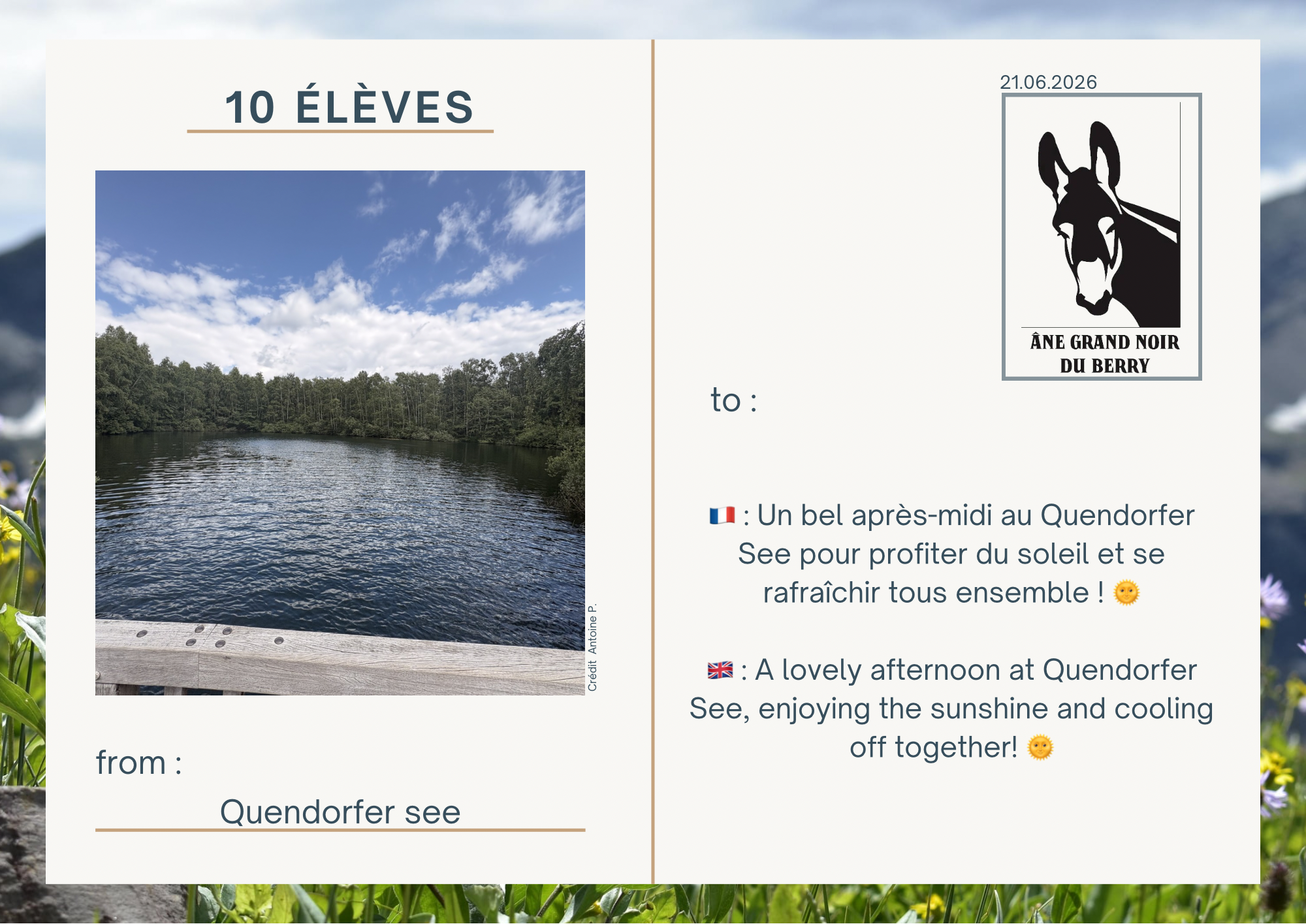 🇫🇷 : Un bel apr&egrave;s-midi au Quendorfer See pour profiter du soleil et se rafra&icirc;chir tous ensemble ! 🌞  🇬🇧 : A lovely afternoon at Quendorfer See, enjoying the sunshine and cooling off together! 🌞