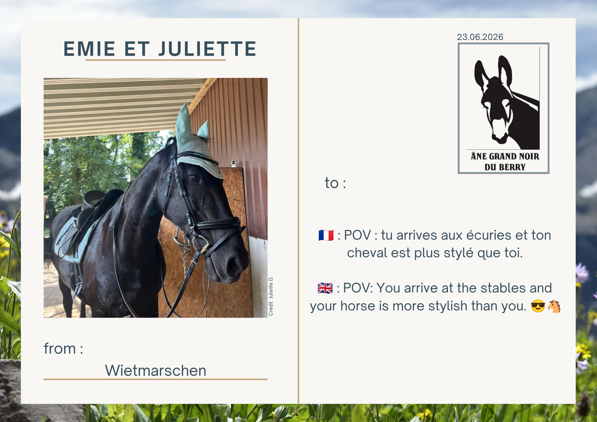 🇫🇷 : POV : tu arrives aux &eacute;curies et ton cheval est plus styl&eacute; que toi.  🇬🇧 : POV: You arrive at the stables and your horse is more stylish than you. 😎🐴