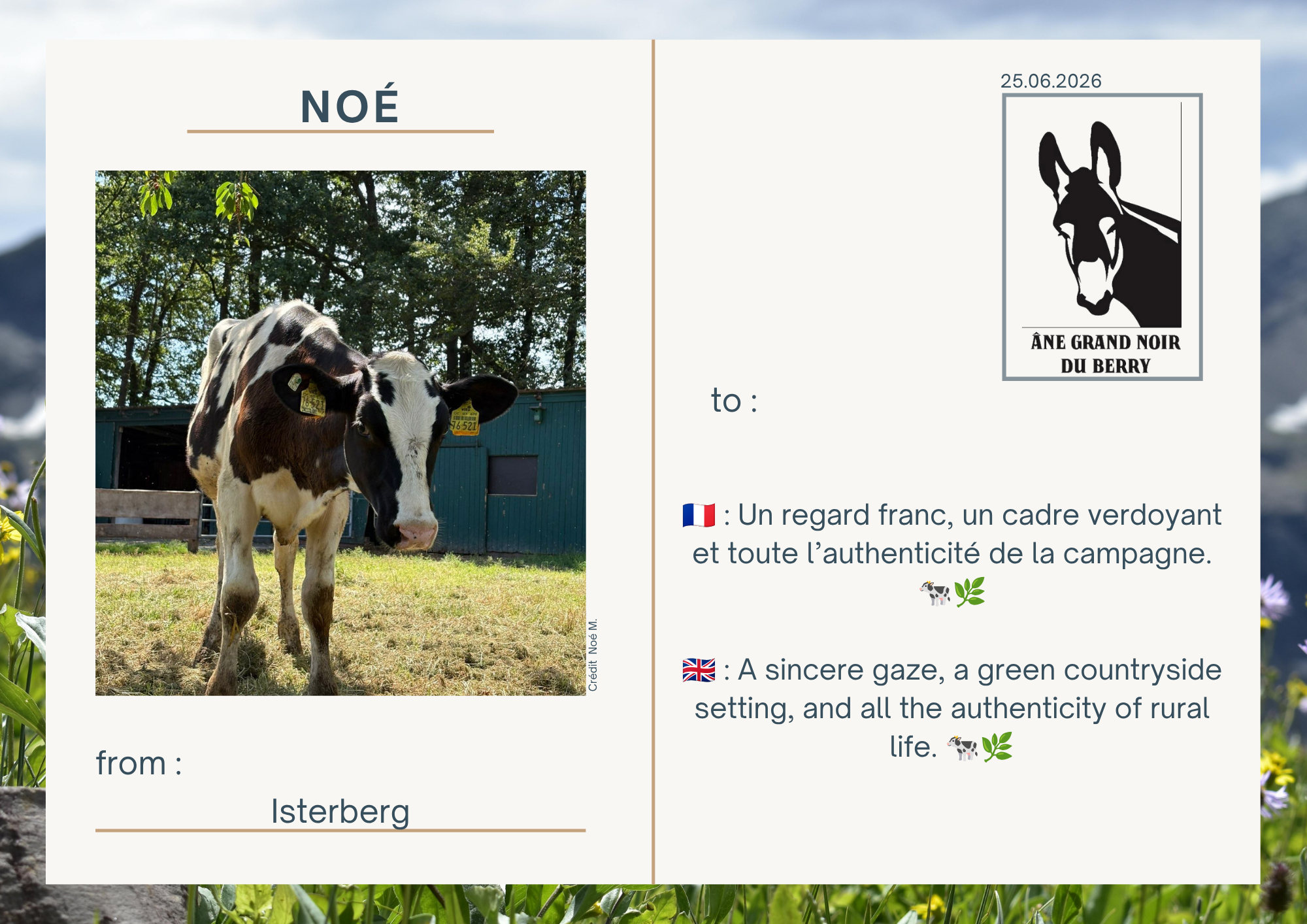 🇫🇷 : Un regard franc, un cadre verdoyant et toute l&rsquo;authenticit&eacute; de la campagne. 🐄🌿  🇬🇧 : A sincere gaze, a green countryside setting, and all the authenticity of rural life. 🐄🌿