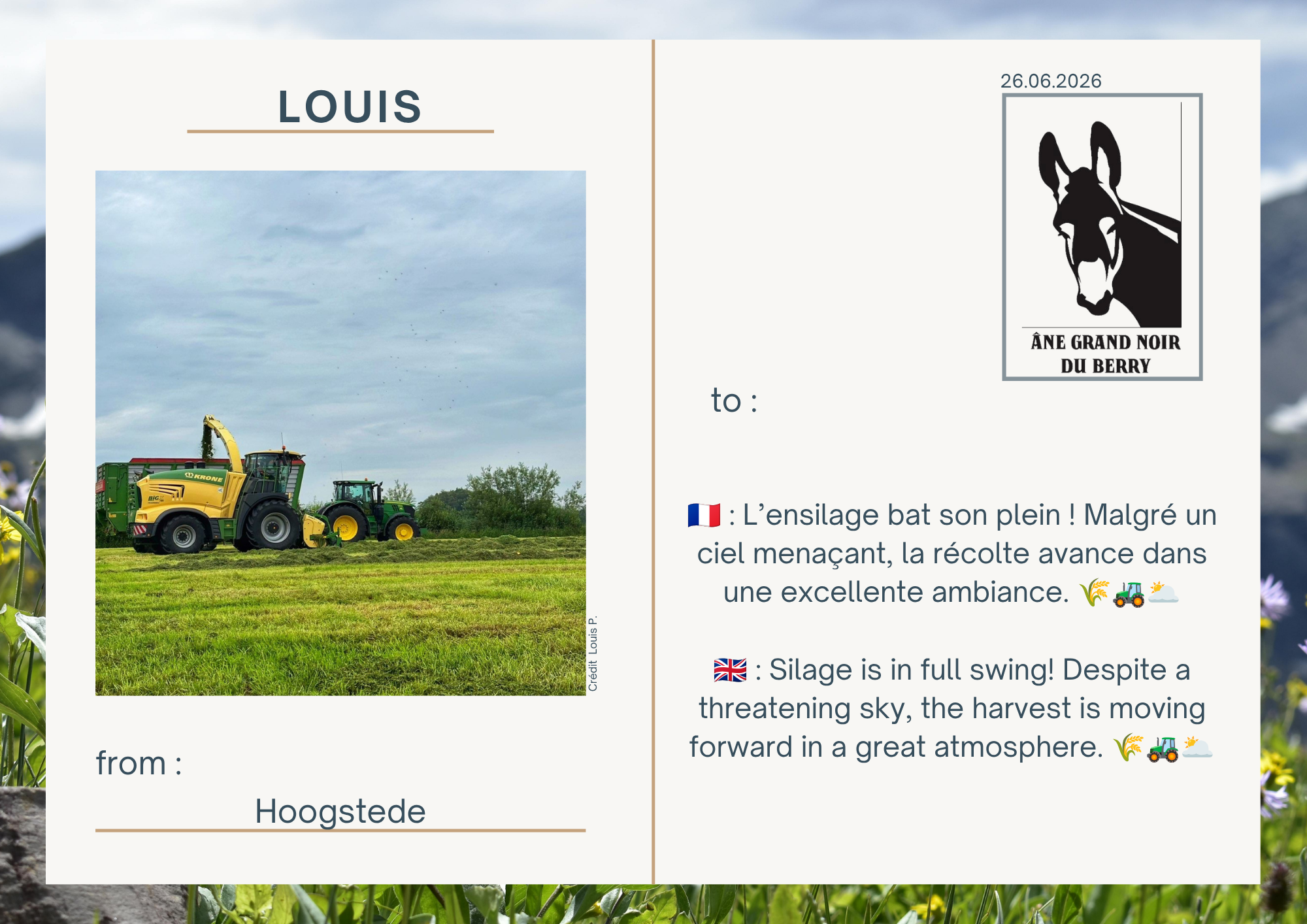 🇫🇷 : L&rsquo;ensilage bat son plein ! Malgr&eacute; un ciel mena&ccedil;ant, la r&eacute;colte avance dans une excellente ambiance. 🌾🚜🌥️  🇬🇧 : Silage is in full swing! Despite a threatening sky, the harvest is moving forward in a great atmosphere. 🌾🚜🌥️