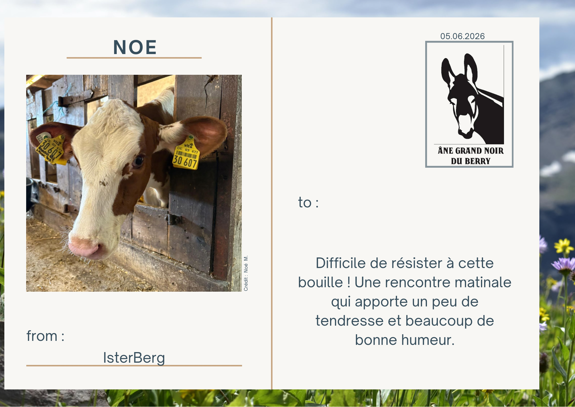 Difficile de r&eacute;sister &agrave; cette bouille ! Une rencontre matinale qui apporte un peu de tendresse et beaucoup de bonne humeur.