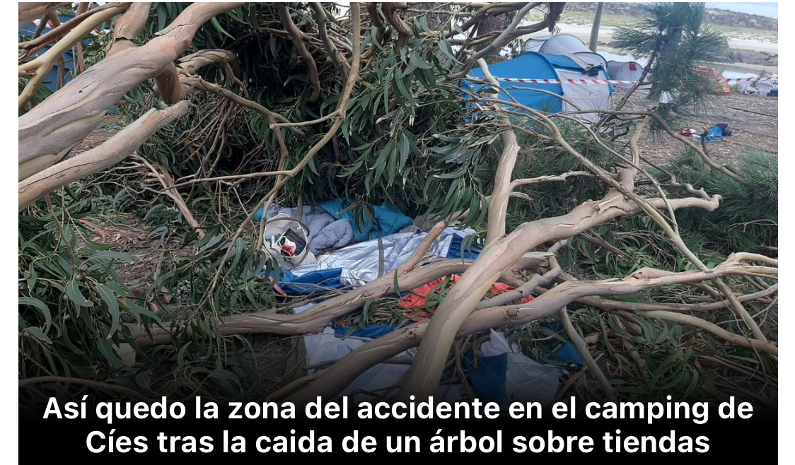 image Cuatro_heridos_al_desplomarse_un_arbol_en_el_camping_de_Cies__Faro_de_Vigo.jpeg (0.8MB)