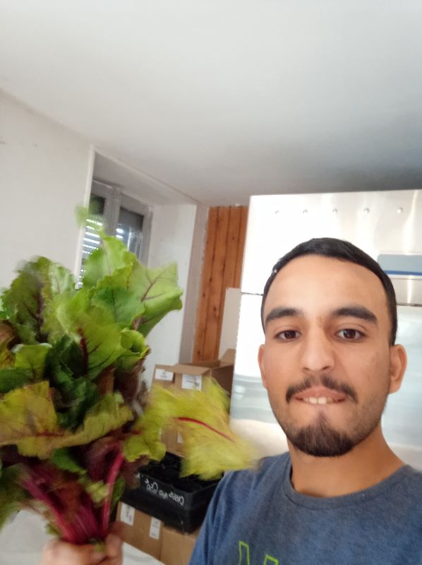 Juste un stagiaire qui essaie de para&icirc;tre pro (spoiler : &ccedil;a marche pas toujours)