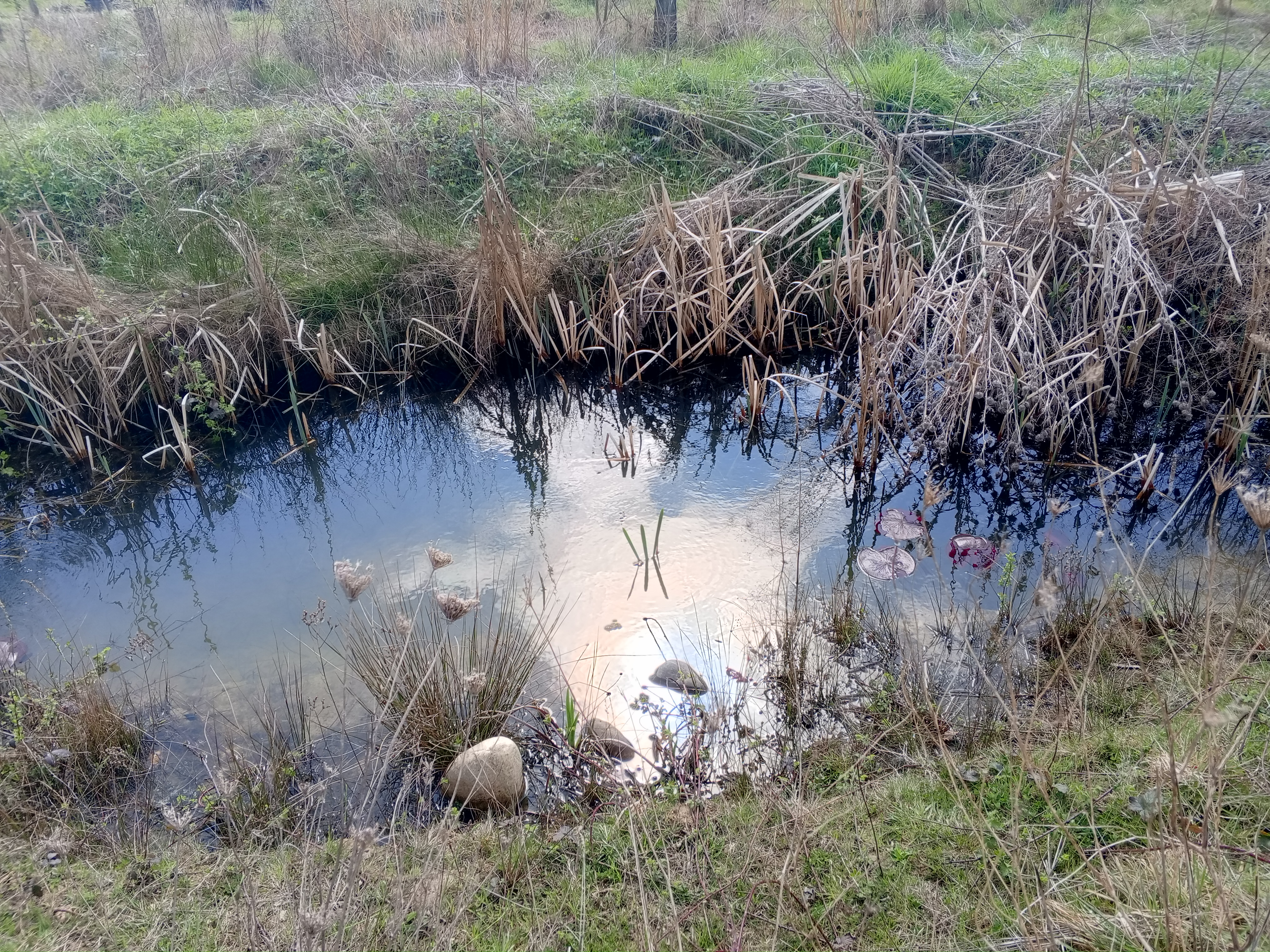 image IMG_20250325_120631_833.jpg (7.1MB)